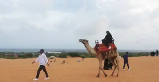 পর্যটন শিল্পে ঘুরে দাঁড়ানোর চেষ্টা গৃহযুদ্ধে বিধ্বস্ত সোমালিয়ার!